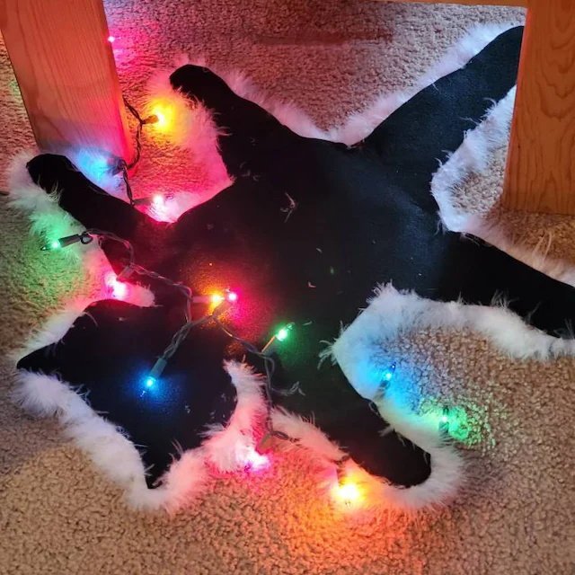 Light Up Fried Cat Rug Funny Christmas Lights Decoration