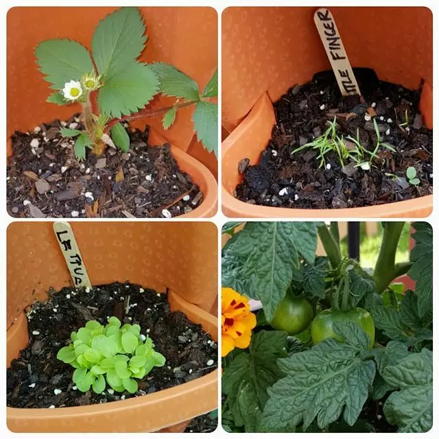 Buy 2 Get 1 Free - Stand Stacking Planters Strawberry Planting Pots