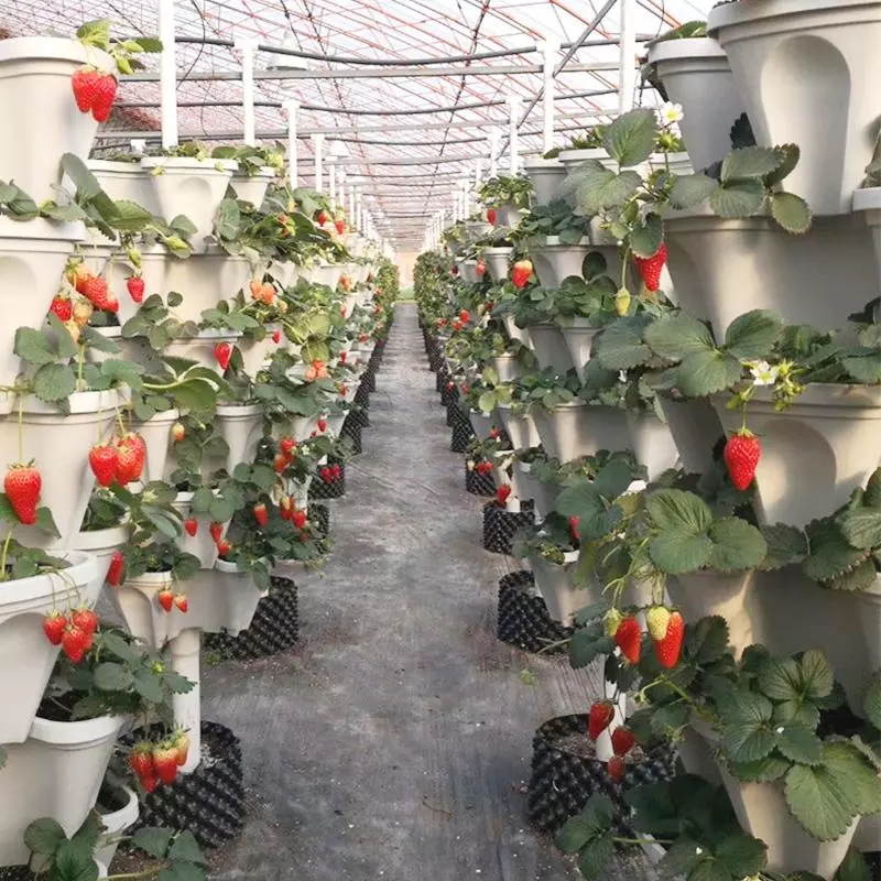 Buy 2 Get 1 Free - Stand Stacking Planters Strawberry Planting Pots