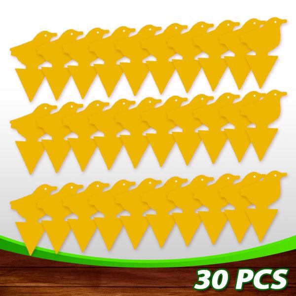 🔥Buy 60 Pcs Get 40 Pcs Free - SEIZEEN Sticky Fruit Fly Trap