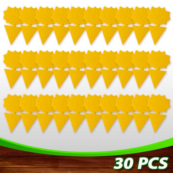 🔥Buy 60 Pcs Get 40 Pcs Free - SEIZEEN Sticky Fruit Fly Trap