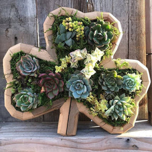 Animal Succulent Garden Arrangement