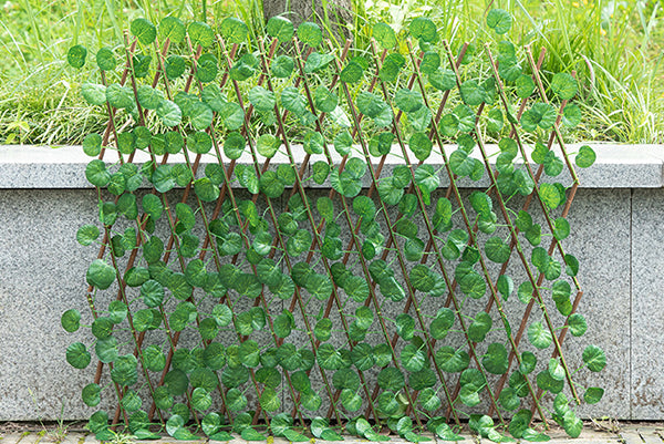 🔥BUY MORE SAVE MORE - 🌳3 Pcs Expandable Faux Privacy Fence🌳