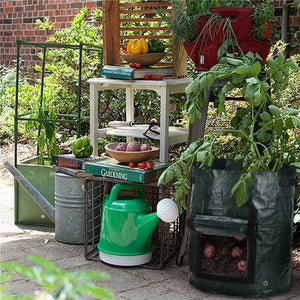 10 Gallons Large Capacity Vegetables Grow Planter PE Container Bag