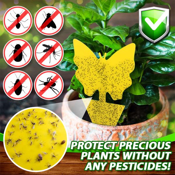 🔥Buy 60 Pcs Get 40 Pcs Free - SEIZEEN Sticky Fruit Fly Trap