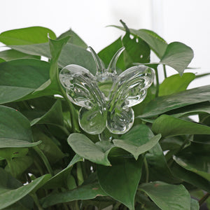 🎉MOTHER'S DAY SALE- 50% OFF🎉- Self-Watering Plant Glass Bulbs