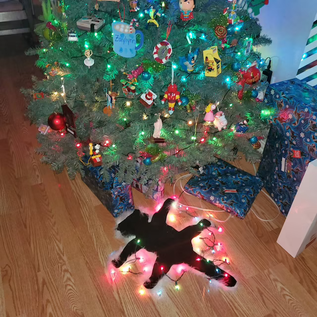 Light Up Fried Cat Rug Funny Christmas Lights Decoration