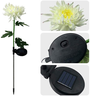 Father's Day Pre-promotion - 30" Chrysanthemum Solar Garden Stake LED