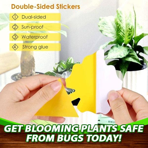 🔥Buy 60 Pcs Get 40 Pcs Free - SEIZEEN Sticky Fruit Fly Trap