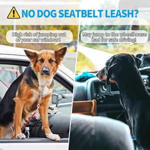 💥Buy 1 get 1 free💥Dog Seatbelt Leash for Cars