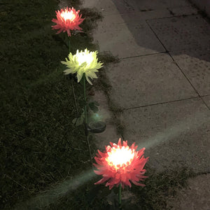 Father's Day Pre-promotion - 30" Chrysanthemum Solar Garden Stake LED