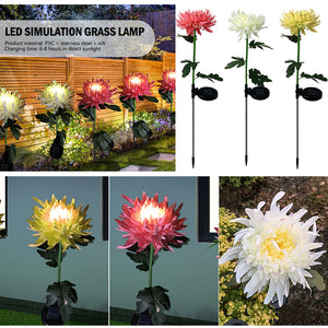 Father's Day Pre-promotion - 30" Chrysanthemum Solar Garden Stake LED