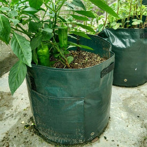 10 Gallons Large Capacity Vegetables Grow Planter PE Container Bag