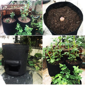 3 size Plant Grow Bags home garden Potato pot greenhouse Vegetable Growing Bags Moisturizing jardin Vertical Garden Bag seedling