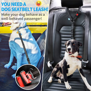 💥Buy 1 get 1 free💥Dog Seatbelt Leash for Cars