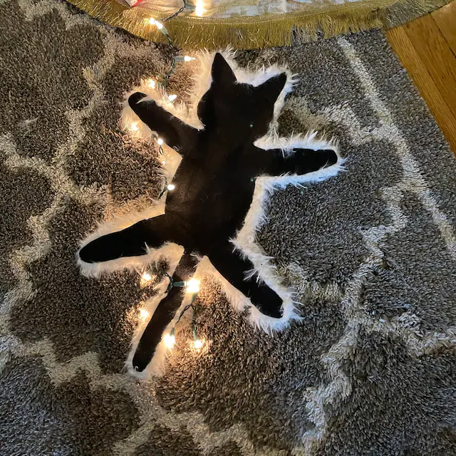 Light Up Fried Cat Rug Funny Christmas Lights Decoration