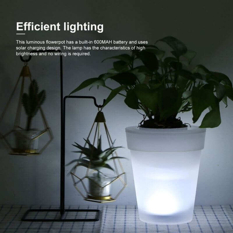 Lamp、UBL