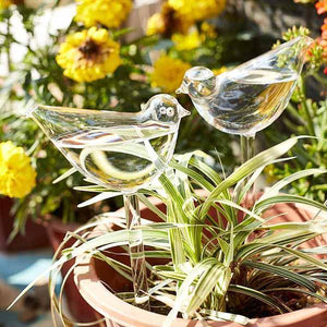 🎉MOTHER'S DAY SALE- 50% OFF🎉- Self-Watering Plant Glass Bulbs