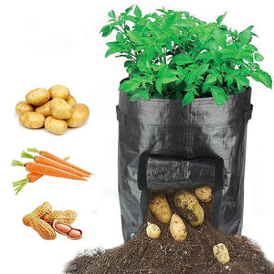 10 Gallons Large Capacity Vegetables Grow Planter PE Container Bag