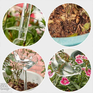 🎉MOTHER'S DAY SALE- 50% OFF🎉- Self-Watering Plant Glass Bulbs