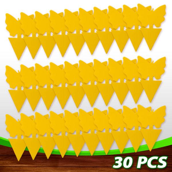 🔥Buy 60 Pcs Get 40 Pcs Free - SEIZEEN Sticky Fruit Fly Trap