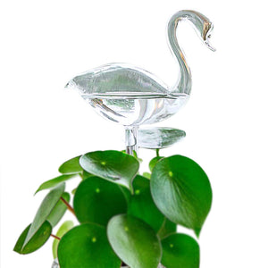 🎉MOTHER'S DAY SALE- 50% OFF🎉- Self-Watering Plant Glass Bulbs