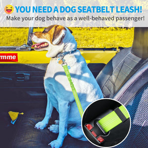 💥Buy 1 get 1 free💥Dog Seatbelt Leash for Cars