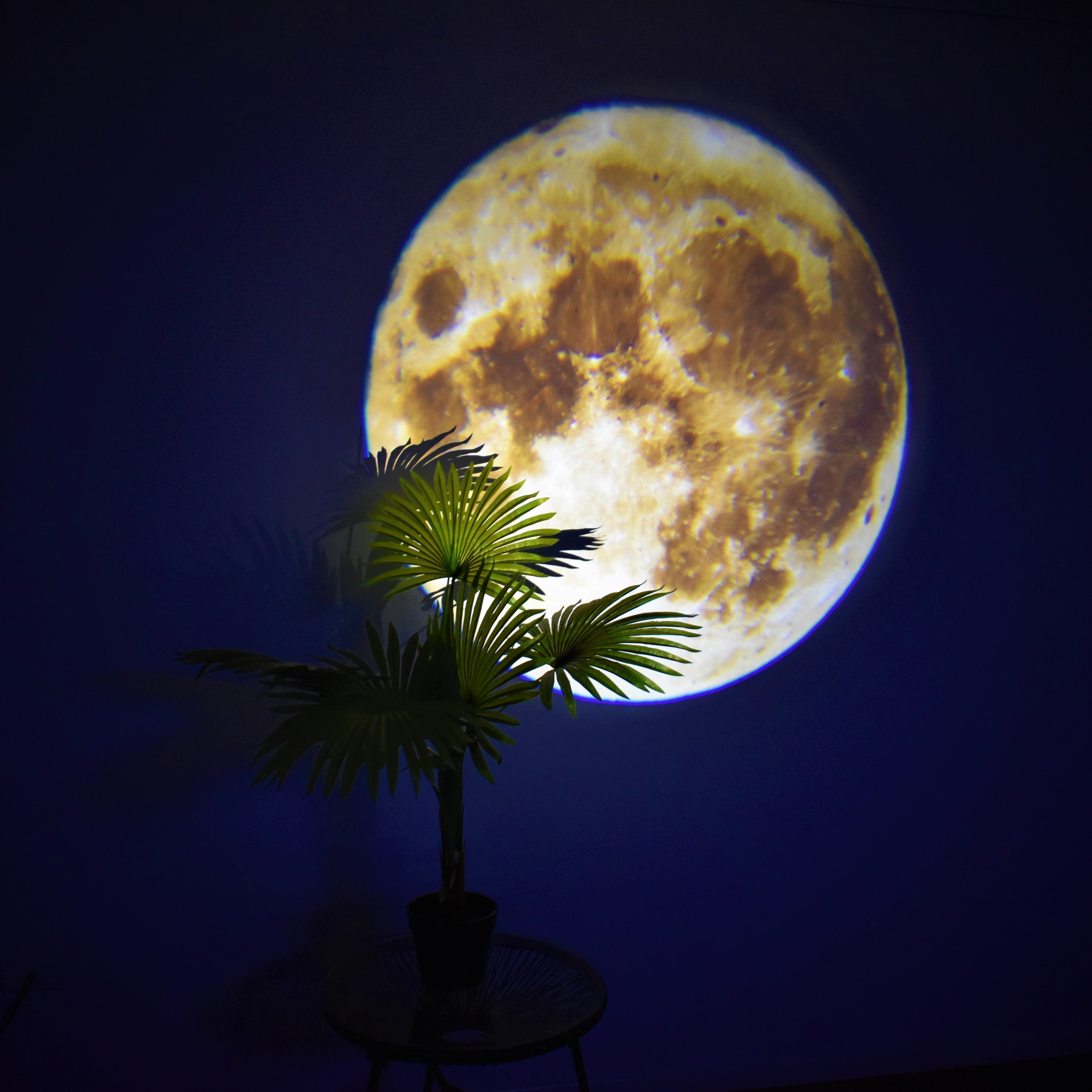 Free Shipping - Moon Earth Projection LED Lamp