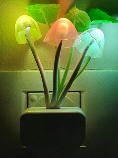 PACK OF 2 LED - LED Mushroom Night Light