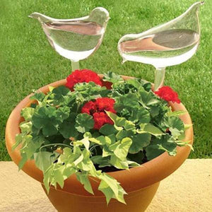 🎉MOTHER'S DAY SALE- 50% OFF🎉- Self-Watering Plant Glass Bulbs