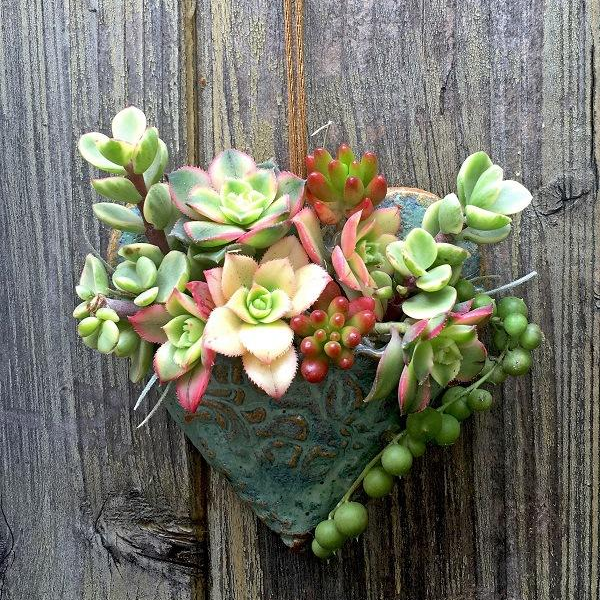 Planting Succulent Heart Pocket Planter