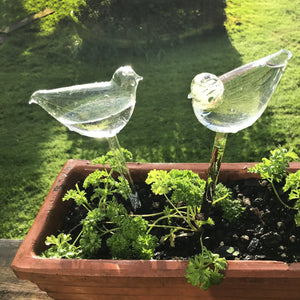 🎉MOTHER'S DAY SALE- 50% OFF🎉- Self-Watering Plant Glass Bulbs