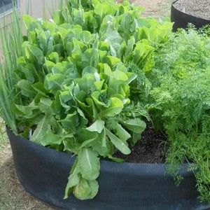 (Early Mother's Day Sale- SAVE 48% OFF)Fabric Raised Planting Bed & Buy 2 Get Extra 10% OFF