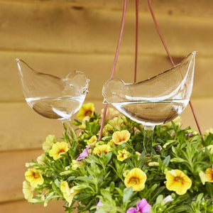 🎉MOTHER'S DAY SALE- 50% OFF🎉- Self-Watering Plant Glass Bulbs