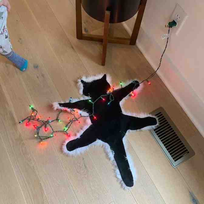 Light Up Fried Cat Rug Funny Christmas Lights Decoration