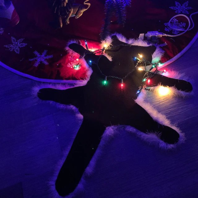 Light Up Fried Cat Rug Funny Christmas Lights Decoration