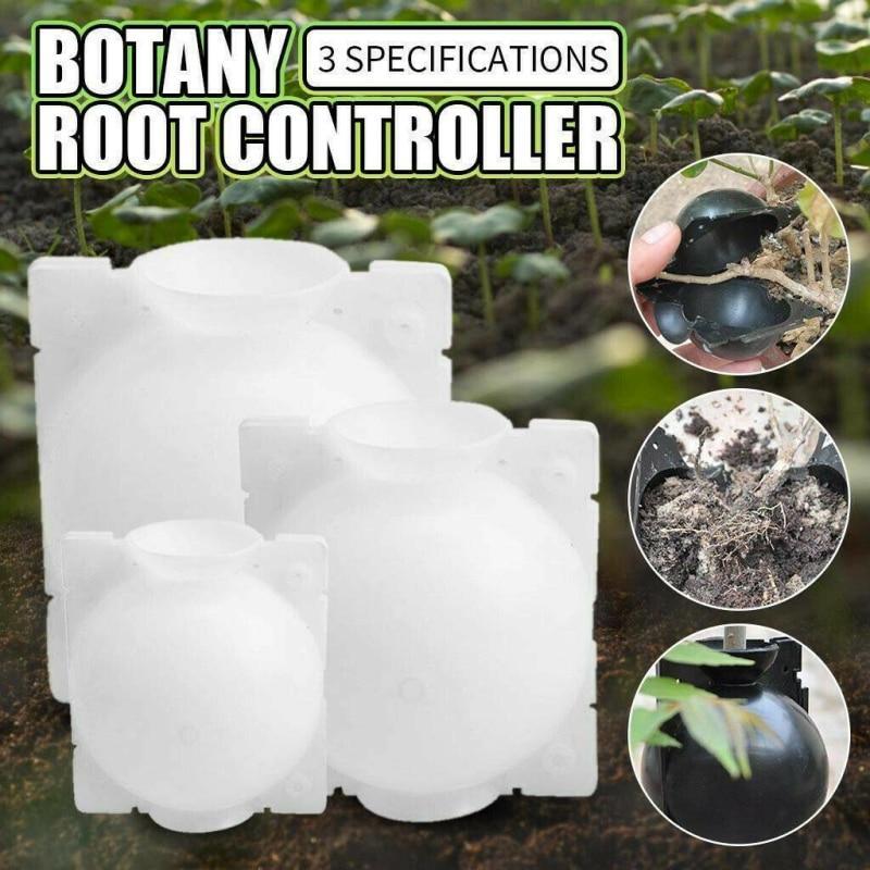 Mountain Rootbox Mother's Day Sale🔥 - 5 pcs Plant Root Growing Box – enyopro
